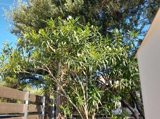 Navy House Дом отдыха *